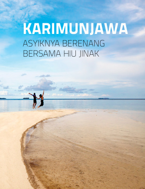 Karimunjawa, Asyiknya Berenang Bersama Hiu Jinak