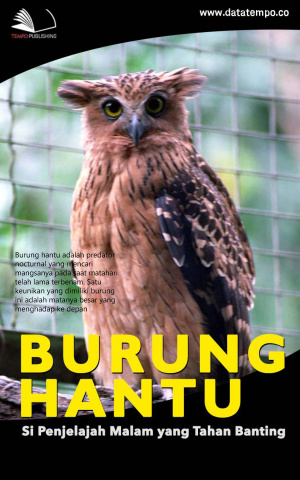 Burung Hantu Si Penjelajah Malam yang Tahan Banting