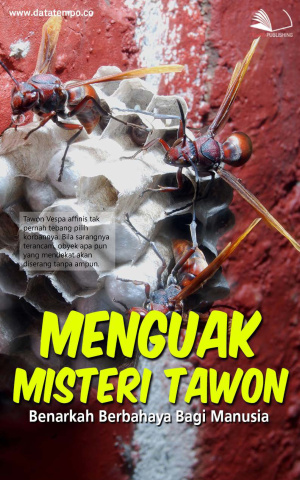 Menguak Misteri Tawon, Benarkah Berbahaya Bagi Manusia
