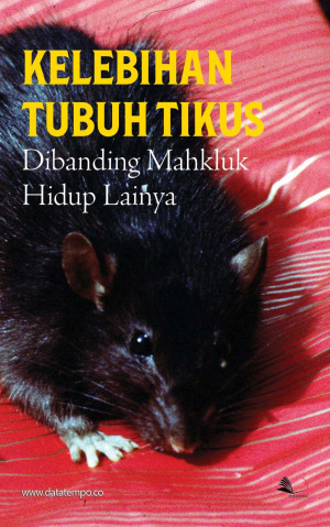 Kelebihan Tubuh Tikus Dibanding Mahkluk Hidup Lainnya