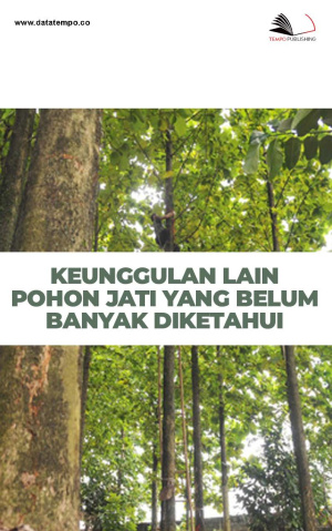 Keunggulan Lain Pohon Jati yang Belum Banyak Diketahui