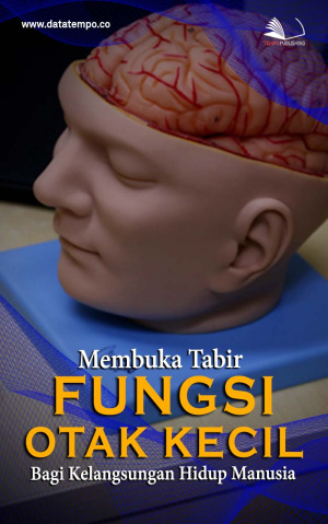 Membuka Tabir Fungsi Otak Kecil Bagi Kelangsungan Hidup Manusia