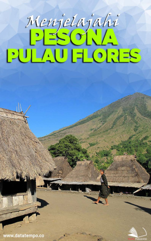 Menjelajahi Pesona Pulau Flores