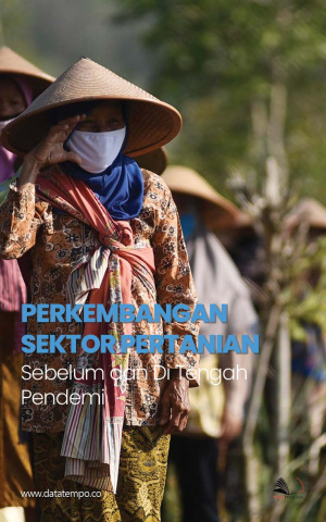 Perkembangan Sektor Pertanian Sebelum dan di Tengah Pandemi