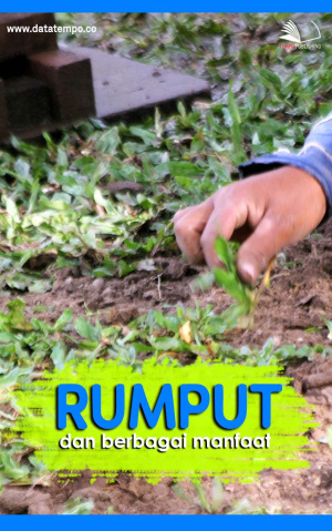 Rumput dan Berbagai Manfaat