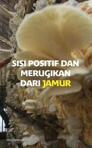 Sisi Positif dan Merugikan dari Jamur