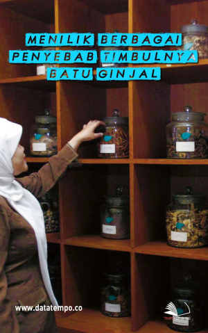 Menilik Berbagai Penyebab Timbulnya Batu Ginjal