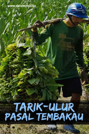 Tarik-Ulur Pasal Tembakau