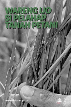 Wareng Ijo Si Pelahap Tanah Petani