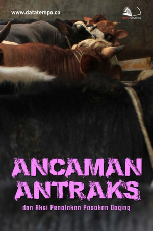 Ancaman Antraks dan Aksi Penolakan Pasokan Daging