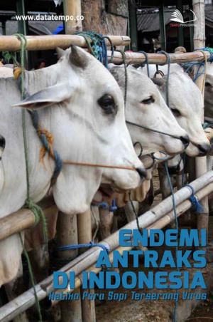 Endemi Antraks di Indonesia, Ketika Para Sapi Terserang Virus