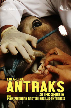 Lika-Liku Antraks di Indonesia dan Perkembangan Bakteri Bacillus Anthracis