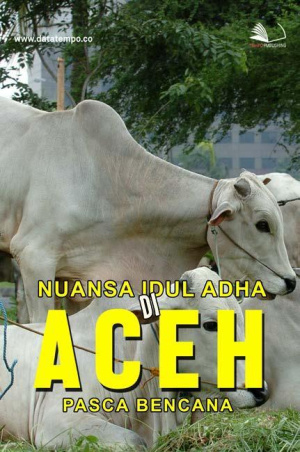 Nuansa Idul Adha Di Aceh Pasca Bencana