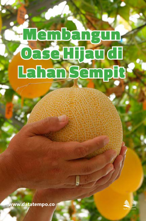 Membangun Oase Hijau di Lahan Sempit