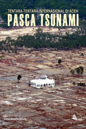 Tentara-tentara Internasional di Aceh pasca Tsunami