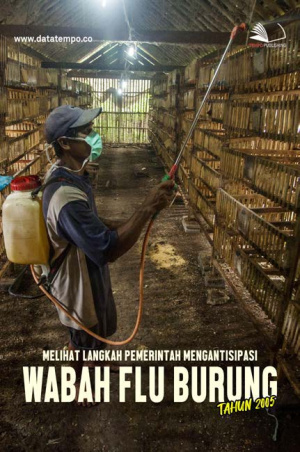 Melihat Langkah Pemerintah Mengantisipasi Wabah Flu Burung Tahun 2005