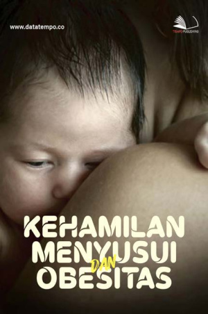Permasalahan Ibu Hamil, Menyusui hingga Obesitas