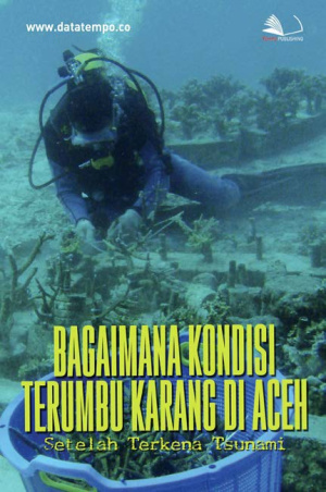 Bagaimana Kondisi Terumbu Karang di Aceh Setelah Terkena Tsunami