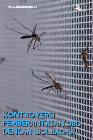 Kontroversi Pemberantasan DBD dengan Wolbachia