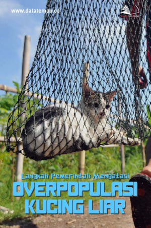Langkah Pemerintah Mengatasi Overpopulasi Kucing Liar