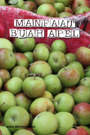 Manfaat Buah Apel