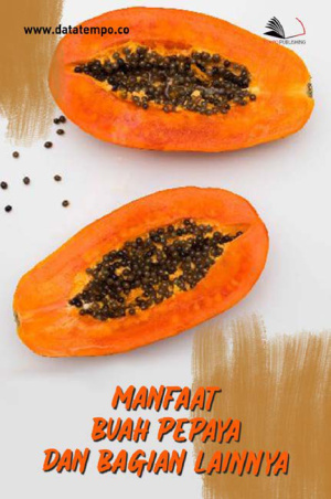 Manfaat Buah Pepaya dan Bagian Lainnya