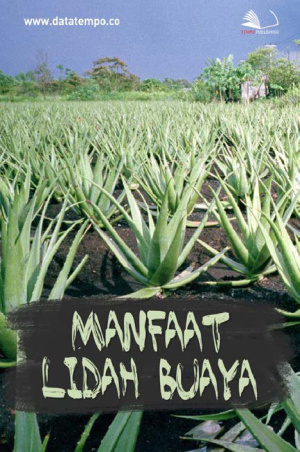 Manfaat Lidah Buaya