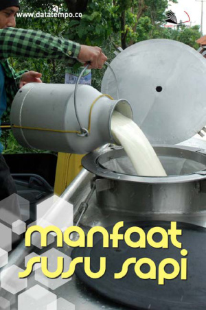 Manfaat Susu Sapi