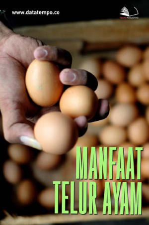 Manfaat Telur Ayam