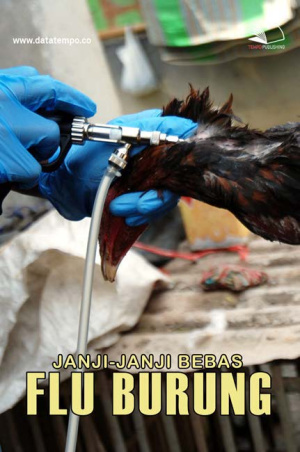 Janji-janji Bebas Flu Burung