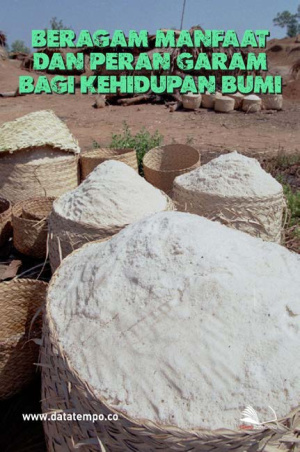 Beragam Manfaat dan Peran Garam Bagi Kehidupan Bumi