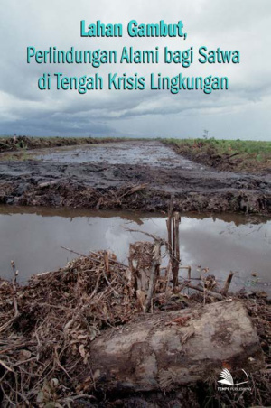 Lahan Gambut, Perlindungan Alami bagi Satwa di Tengah Krisis Lingkungan