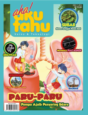 Paru-Paru