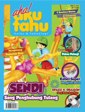 Sendi Sang Penghubung Tulang