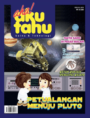 Petualangan Menuju Pluto