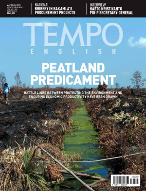 Peatland Predicament