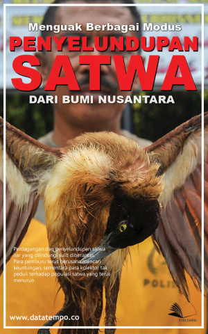 Menguak Berbagai Modus Penyelundupan Satwa Dari Bumi Nusantara