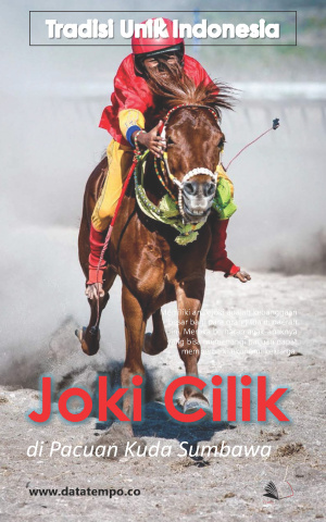Tradisi Unik - Joki Cilik di Pacuan Kuda Sumbawa
