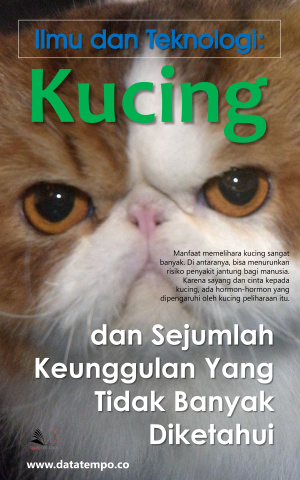 Ilmu dan Teknologi: Kucing dan Sejumlah Keunggulan Yang Tidak Banyak Diketahui