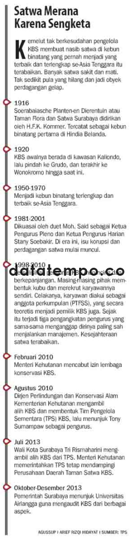 Satwa merana karena sengketa.