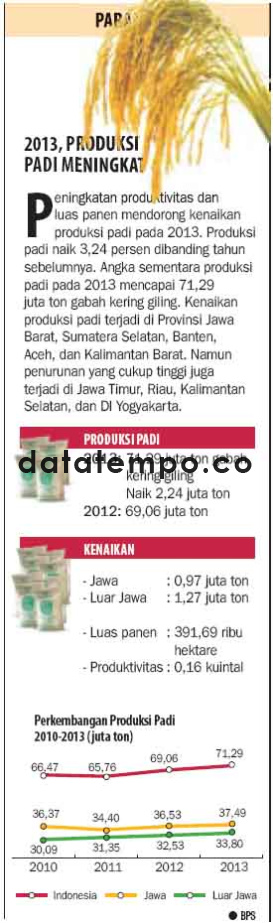 2013 Produksi Padi Meningkat