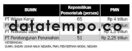 BUMN, PMN