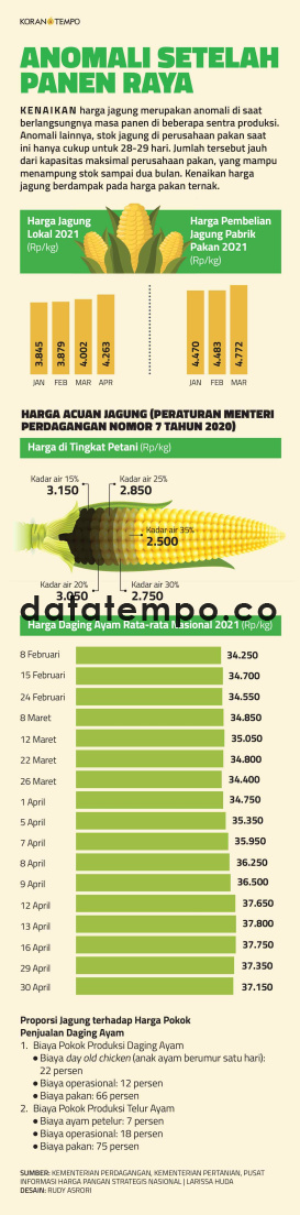 Harga Jagung dan Daging Ayam